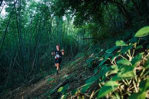 BIB: 
                            <button type="button" onclick="openModal(28125025)" class="btn btn-primary btn-sm float-right btn-popup" data-toggle="modal" data-target=".modal-high-quality">
                        <i class="fas fa-shopping-cart"></i> Add to Cart
                    </button>
                                            <button type="button" onclick="isThisMe(28125025, true)" class="btn btn-success btn-sm float-right btn-popup btn-isme hidden" data-toggle="tooltip" data-placement="bottom" title="นี่คือรูปของคุณใช่ไหม คลิกที่นี่เพื่อเอาเข้าอัลบั้ม">
                        <i class="fas fa-plus"></i> Add to album
                    </button>
                    <button type="button" onclick="isThisMe(28125025, false)" class="btn btn-warning btn-sm float-right btn-popup btn-isnotme hidden">
                        <i class="fas fa-ban"></i> Remove from album
                    </button>